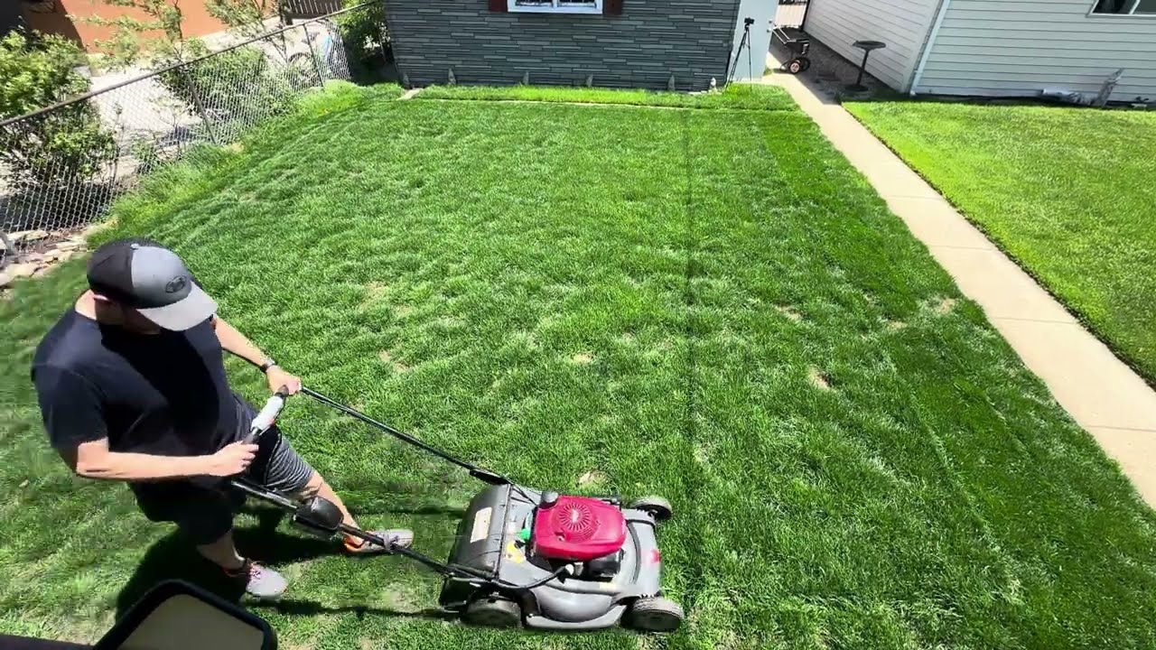 WINTERKILL: Lawn did not recover from Winter