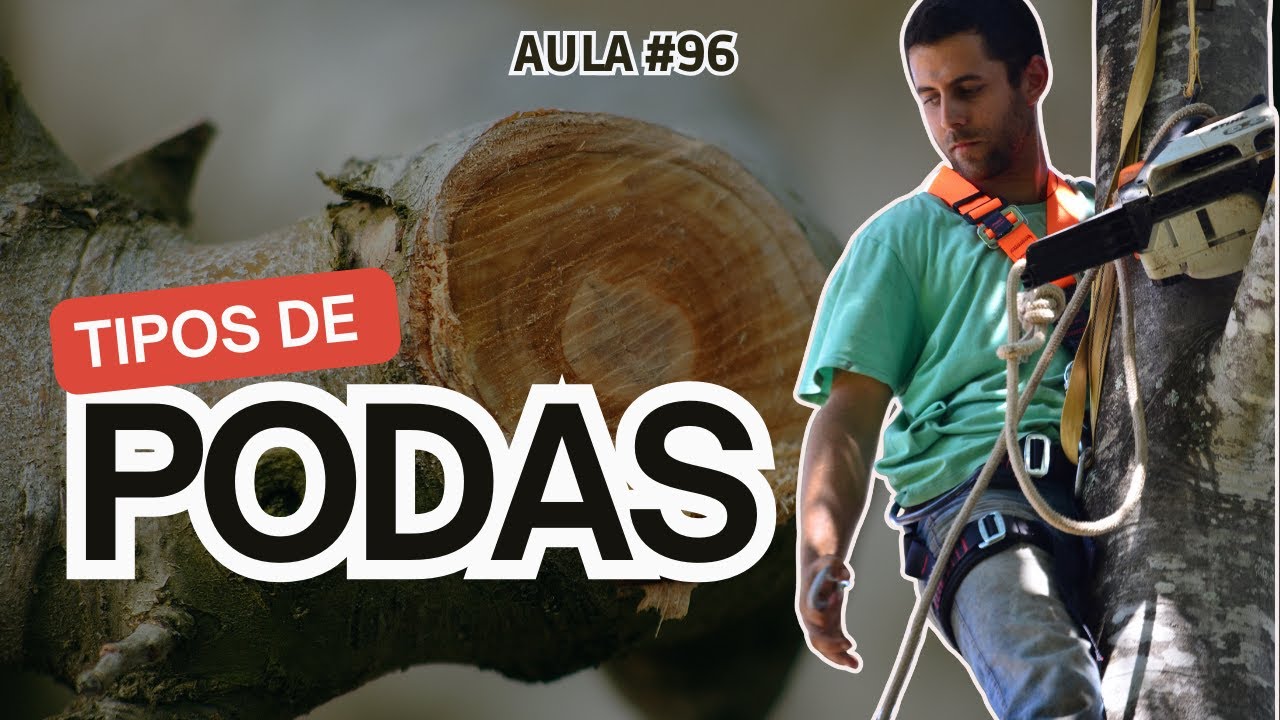 #96-Quais tipos de podas e quando é necessário fazer.