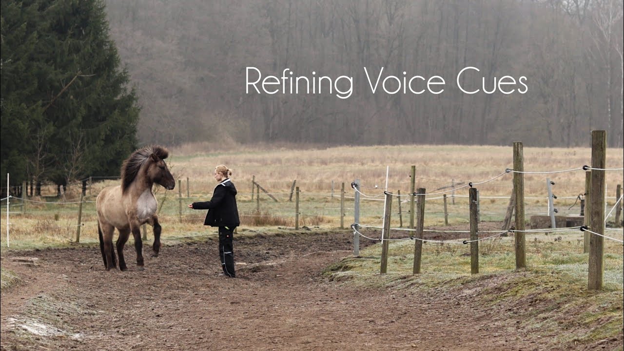 Let's refine voice cues