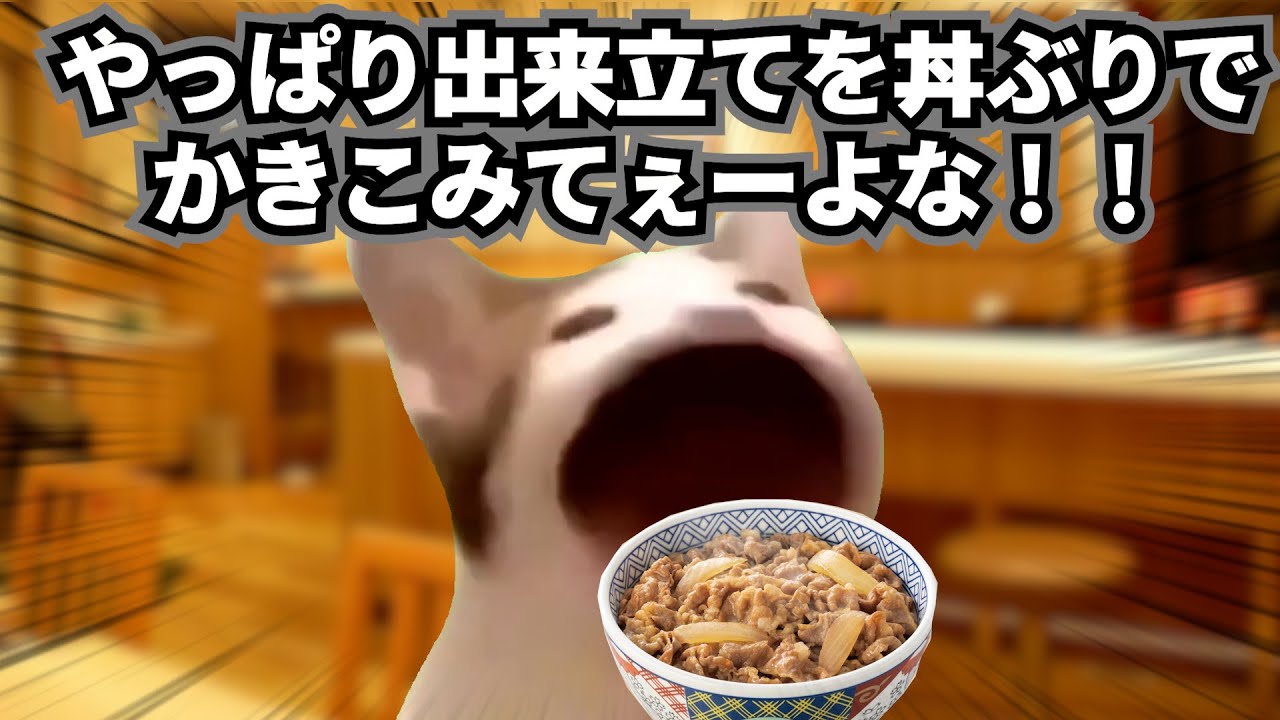吉野家で牛丼を食べた何気ない話【猫ミーム】