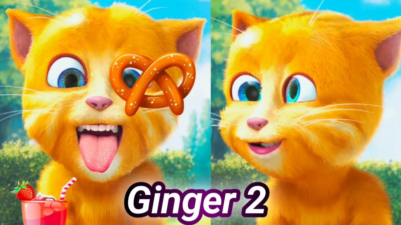 Talking Ginger 2: Best FUNNY MOMENTS & FAILS  🤣 | talking ginger eating 🍓🍎🍒 |