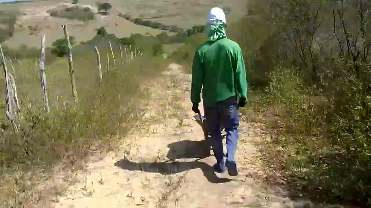 SOL QUENTE TEM QUE DAR ÁGUA AO BICHO 🐴