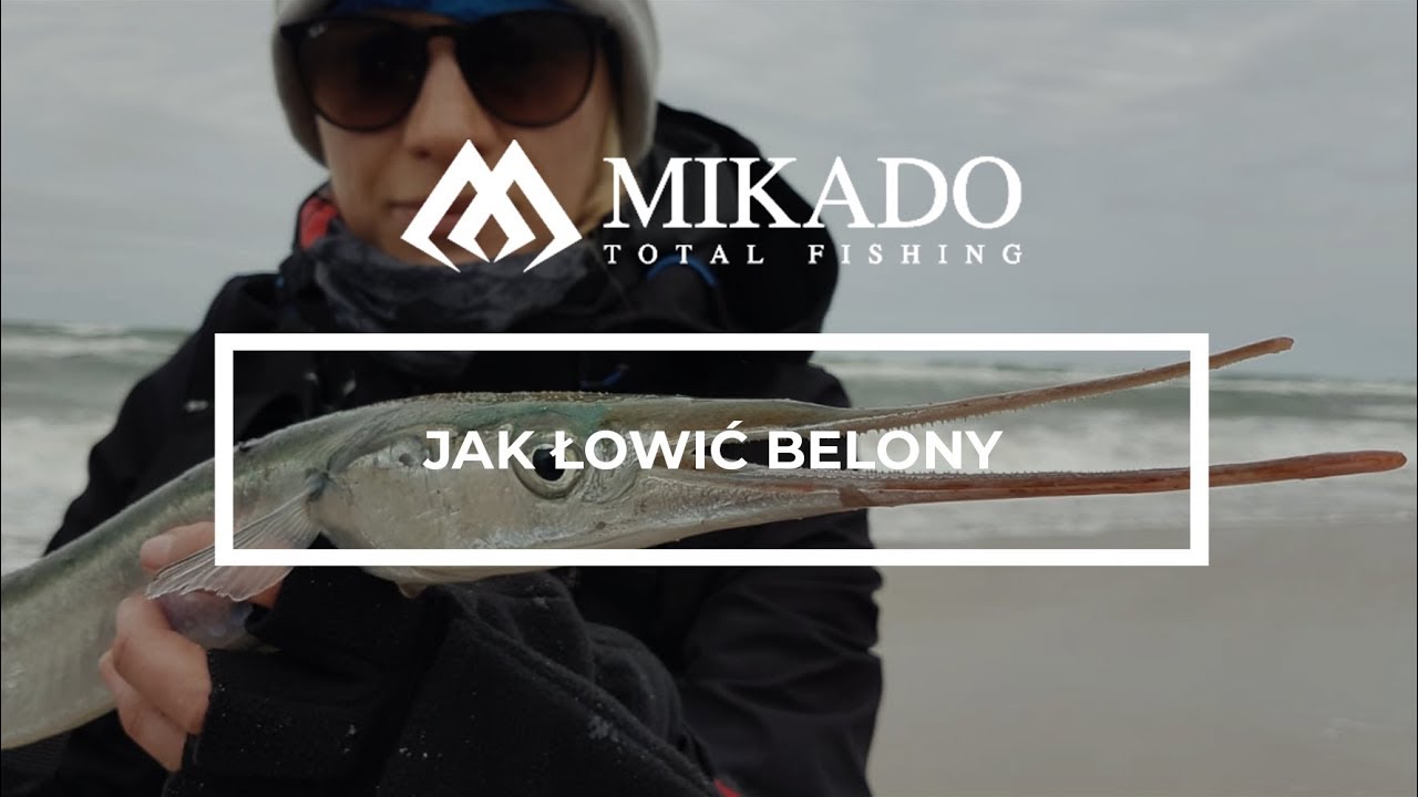 Jak łowić belony