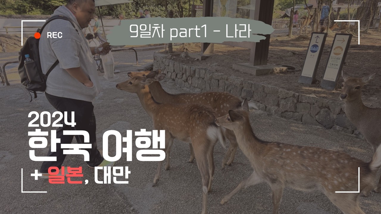 2024 한국, 일본, 대만 Day 9-1 [일본] 나라 사슴공원, 도다이지, 장어 덮밥, 나카타니도