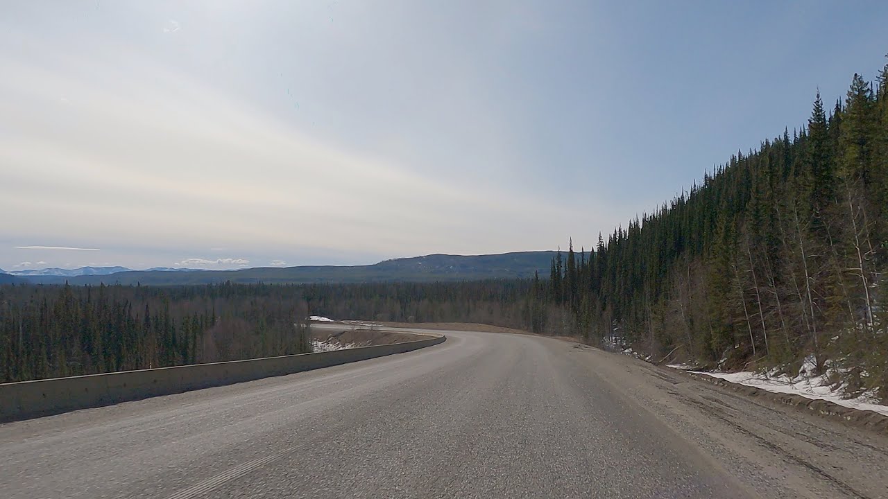 ALASKA Highway - Cruising in the Yukon & British Columbia - Bison Spotting