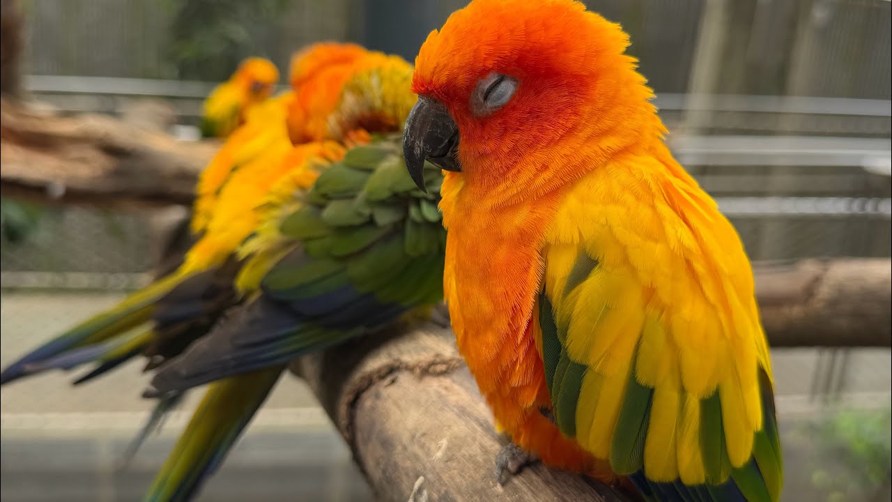 Philippine Biodome Trip