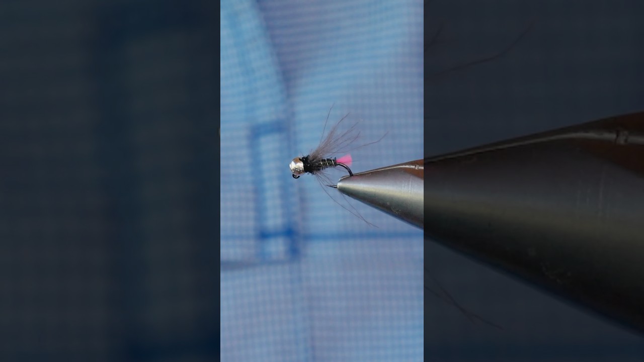Lubo&scaron; Roza&rsquo;s pink tag nymph is one of his confidence nymph patterns for euro nymphing.