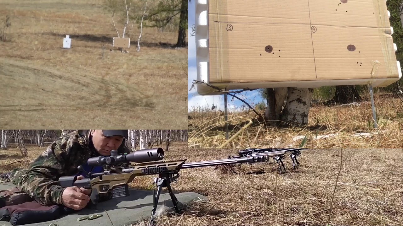 savage stealth ba 10 and Boldoo