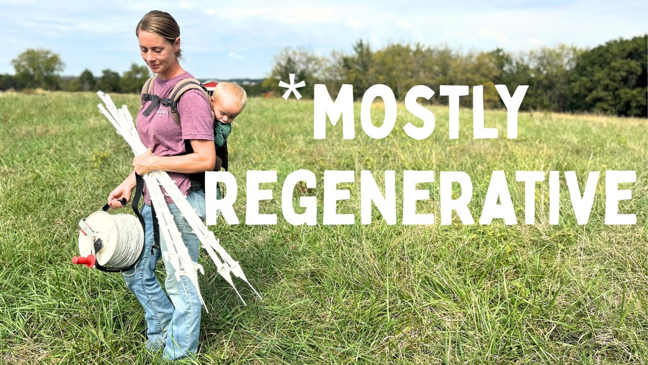 One Week on a Small Regenerative Farm