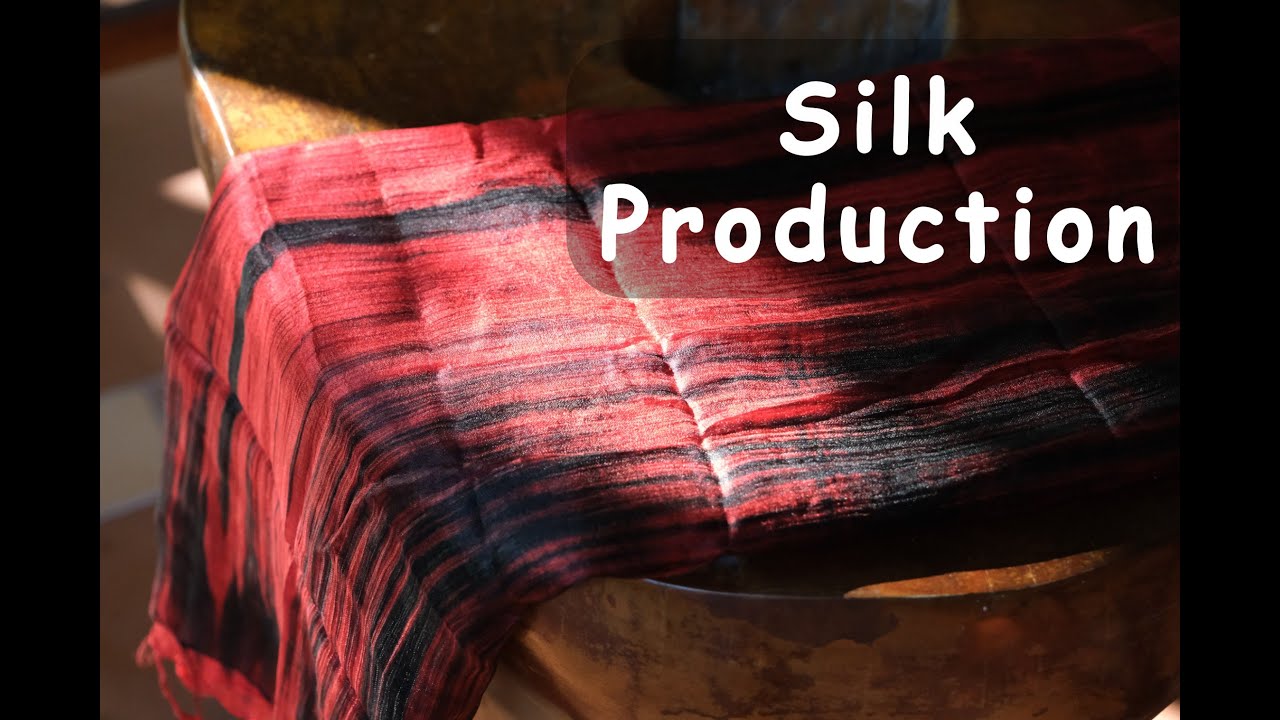 Exploring Silk Production in Vietnam