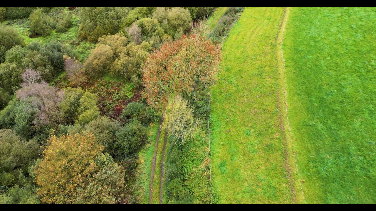 The Importance of Natural Hedgerows in County Cavan