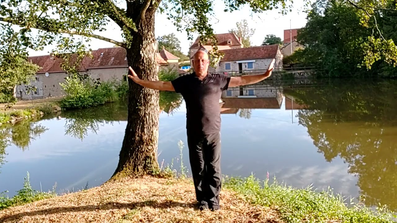 Zhineng Qigong Level 2 Body and Mind Method