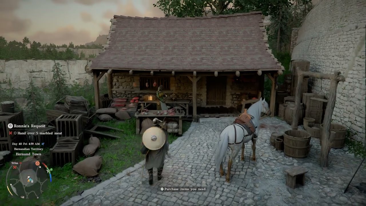 Crimson Desert: Completing 