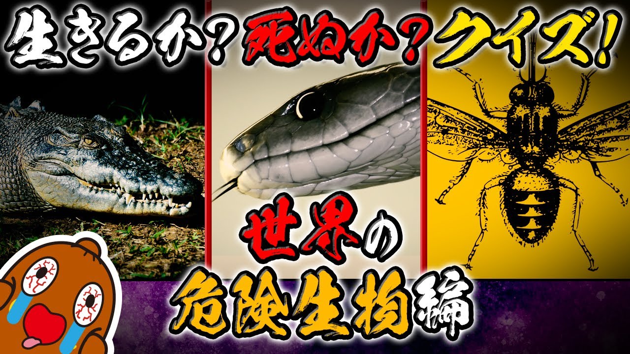 生きるか死ぬかクイズ#15 ～世界の危険生物編～