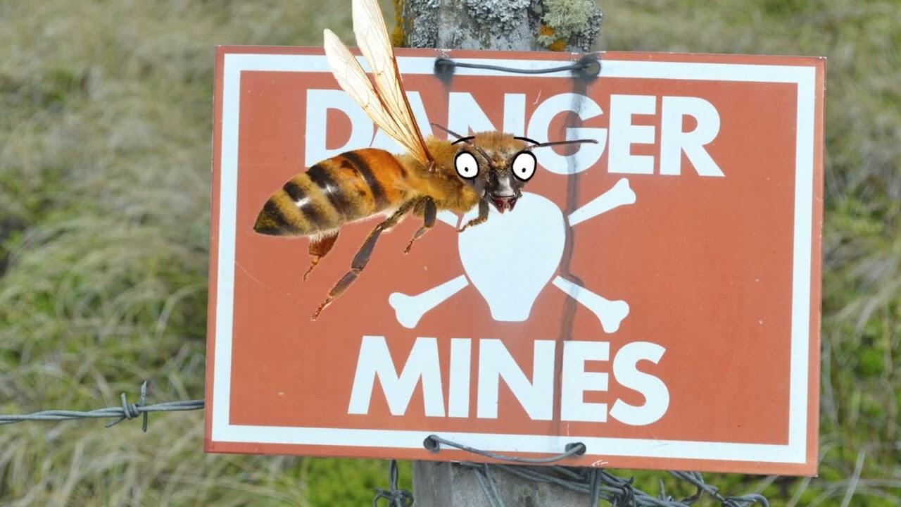 BOMBle bee