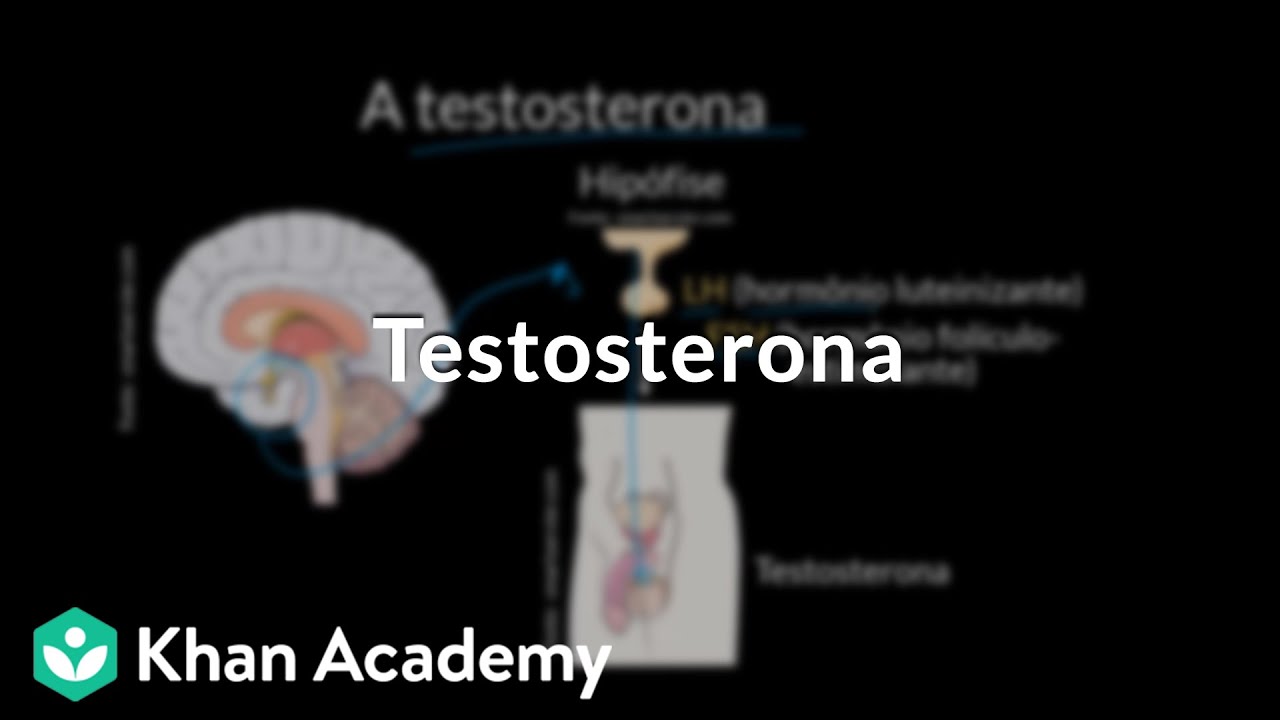 Testosterona