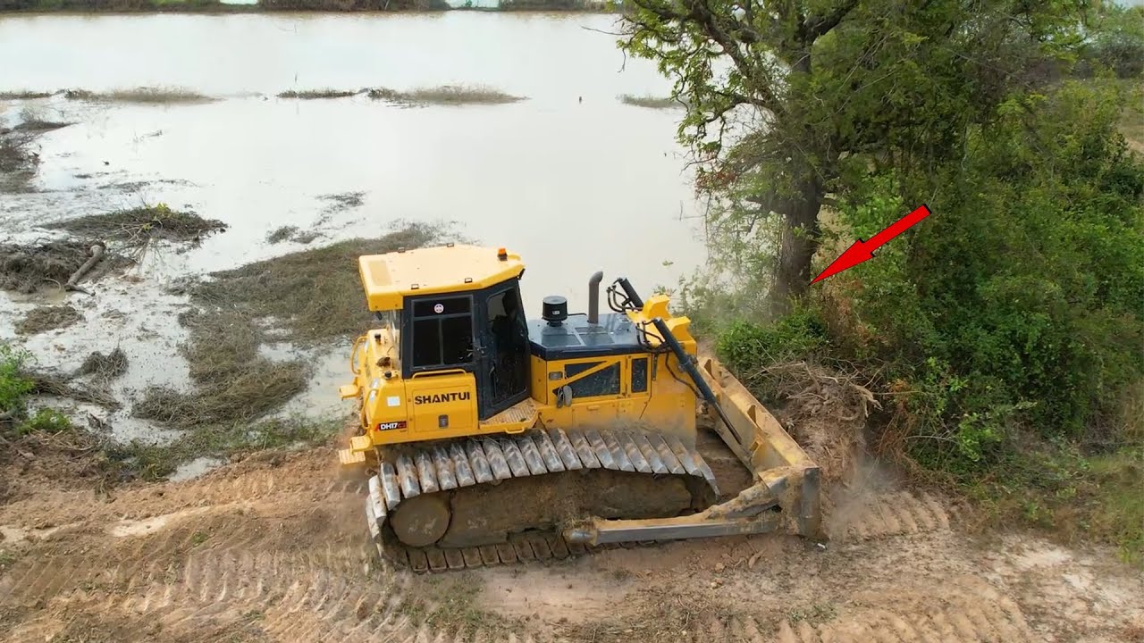 Incredible Excellent Operations Bulldozer Shantui Dh17c2 Push​ Trees And Land clearing