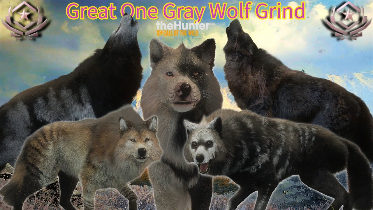 Shooting the Great One Gray Wolf at Midnight est!!! | theHunter COTW