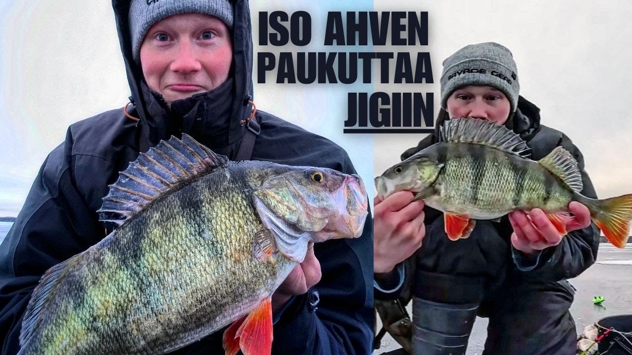 ISOJEN KALOJEN PÄIVÄ | KILON MÖYKKY | JÄTTIHAUKI | PILKILLÄ
