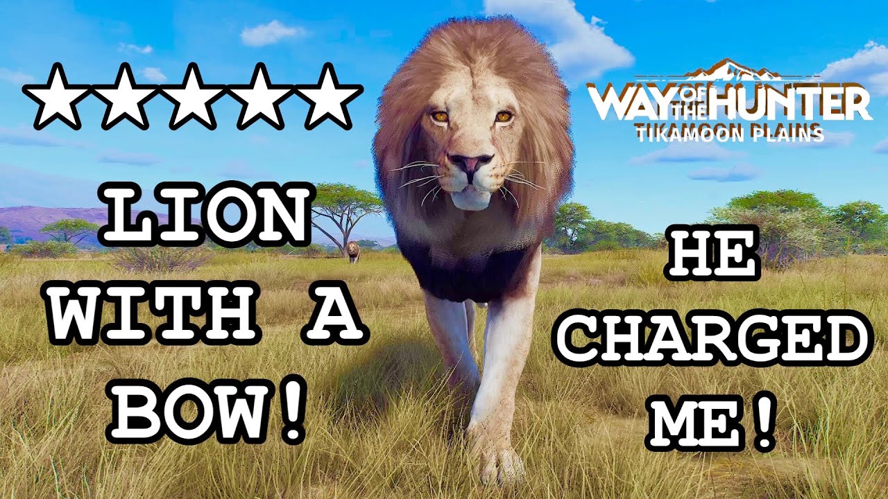 HUNTING THE KING OF TIKAMOON PLAINS WITH A BOW - *A 5 STAR MATURE LION!* HE CHARGED AFTER THE SHOT!