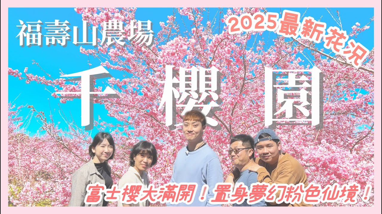 【台灣賞櫻景點🌸】2025千櫻園滿開花況 || 朝聖傳說中遠的要命農場｜遠眺雪山山脈的粉色仙境⛰️