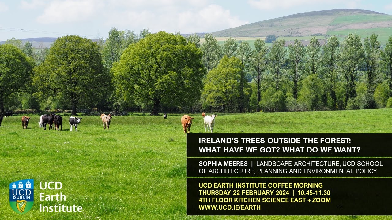 Sophie Meeres (UCD Landscape Architecture) talk on Ireland’s trees and woodlands outside the forest