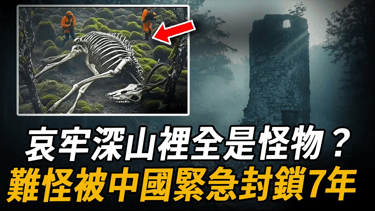 哀牢深山裡全是怪物？雲南「死亡森林」驚現千禧年古國遺址！ 36人暴斃、地質隊神秘死亡、三星堆、印度那加人，竟然也與此有關？難怪被中國緊急封鎖7年！ | 腦補大轟炸