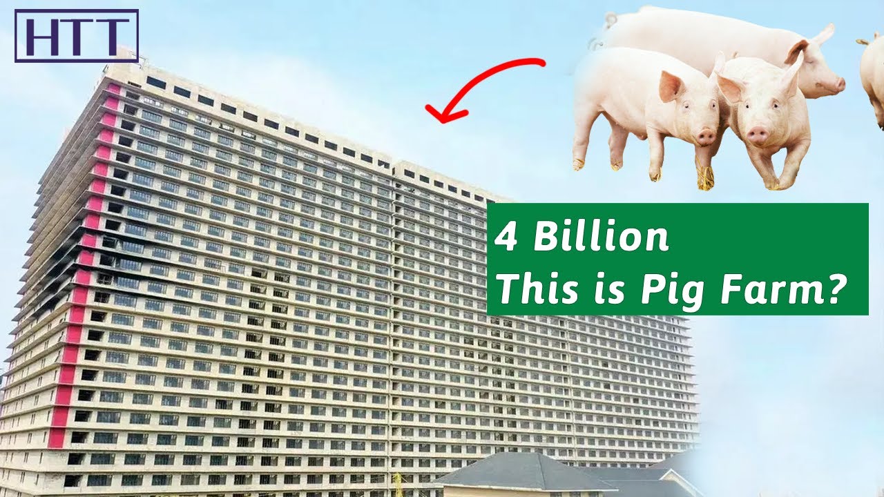4 billion to build a 26 story building to raise pigs, China&rsquo;s profitable high tech farm