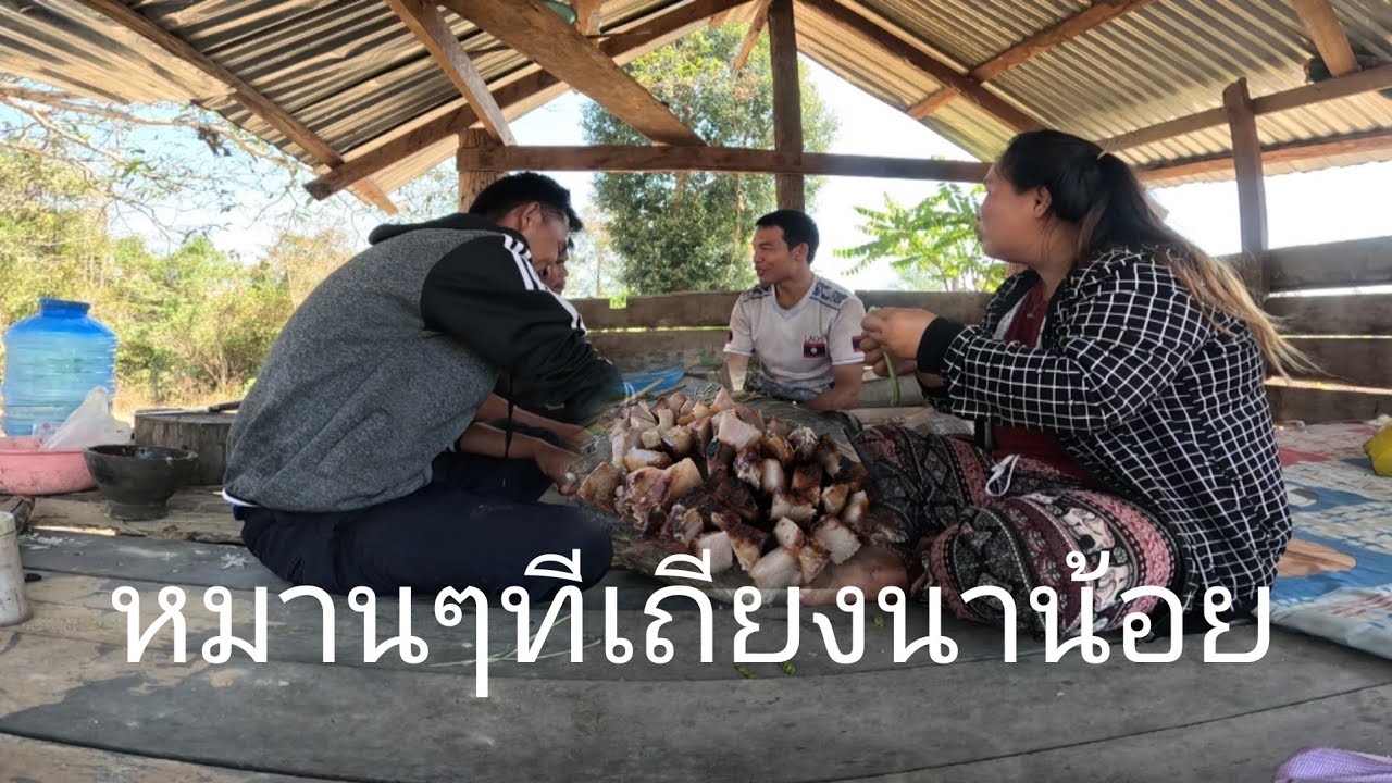 ติดตั้งเอ้านกลงกินน้ำกับสาวสอน(พรานต้นเอ้าชีนหมูป่ามาฝาก
