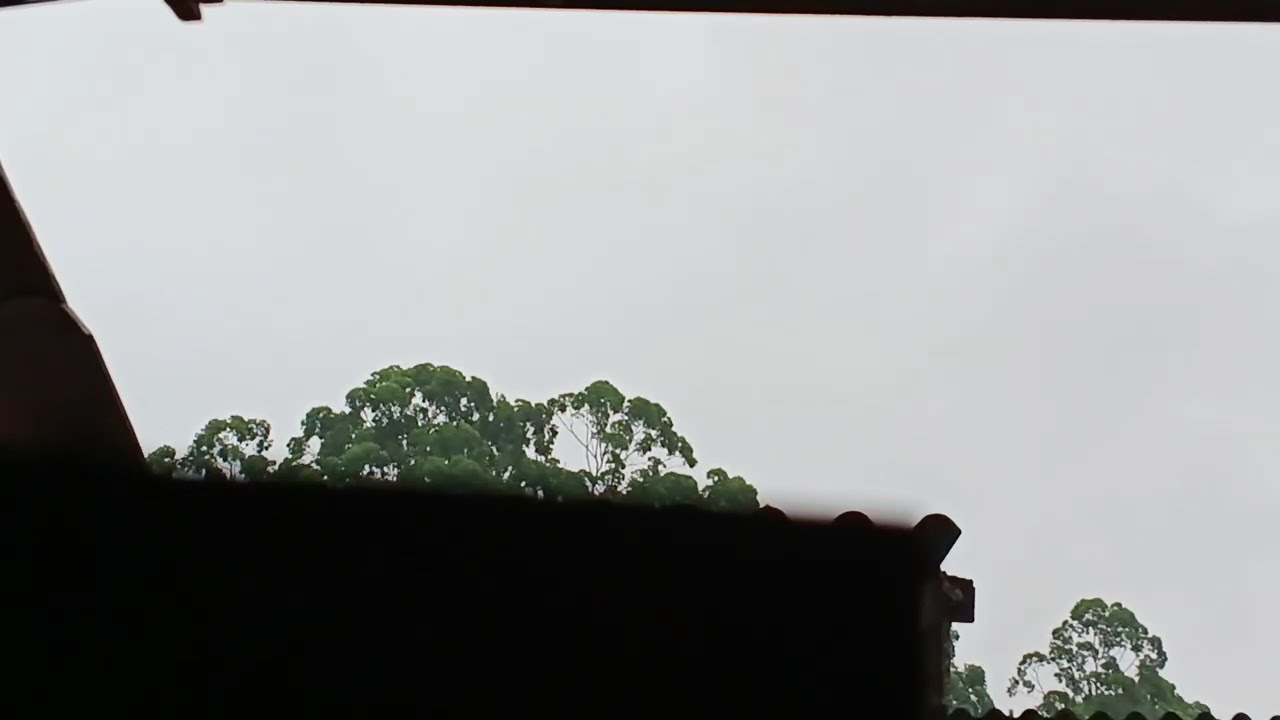 6 de março de 2026