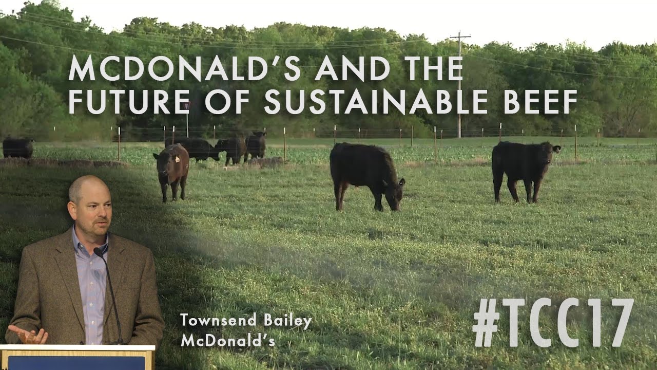 Будущее устойчивого развития говядины в McDonald's: Таунсенд Бейли