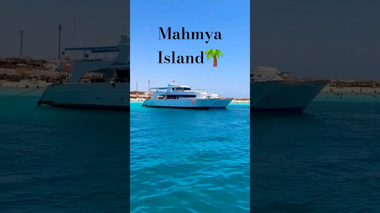 Mahmya Island- Egypt #holiday #holidays #music #egypt #love #sun #shortvideo #shorts #short #viral