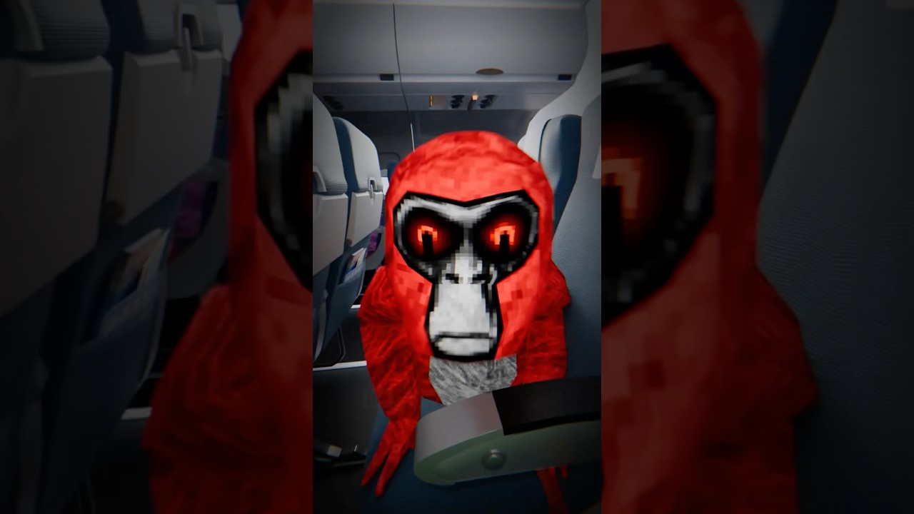 ✈️ Ghost Found On Plane&hellip; #gorillatag