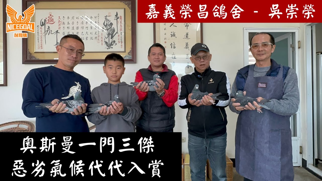 奧斯曼一門三傑，惡劣氣候代代入賞，嘉義榮昌鴿舍 - 吳崇榮｜耐翔購