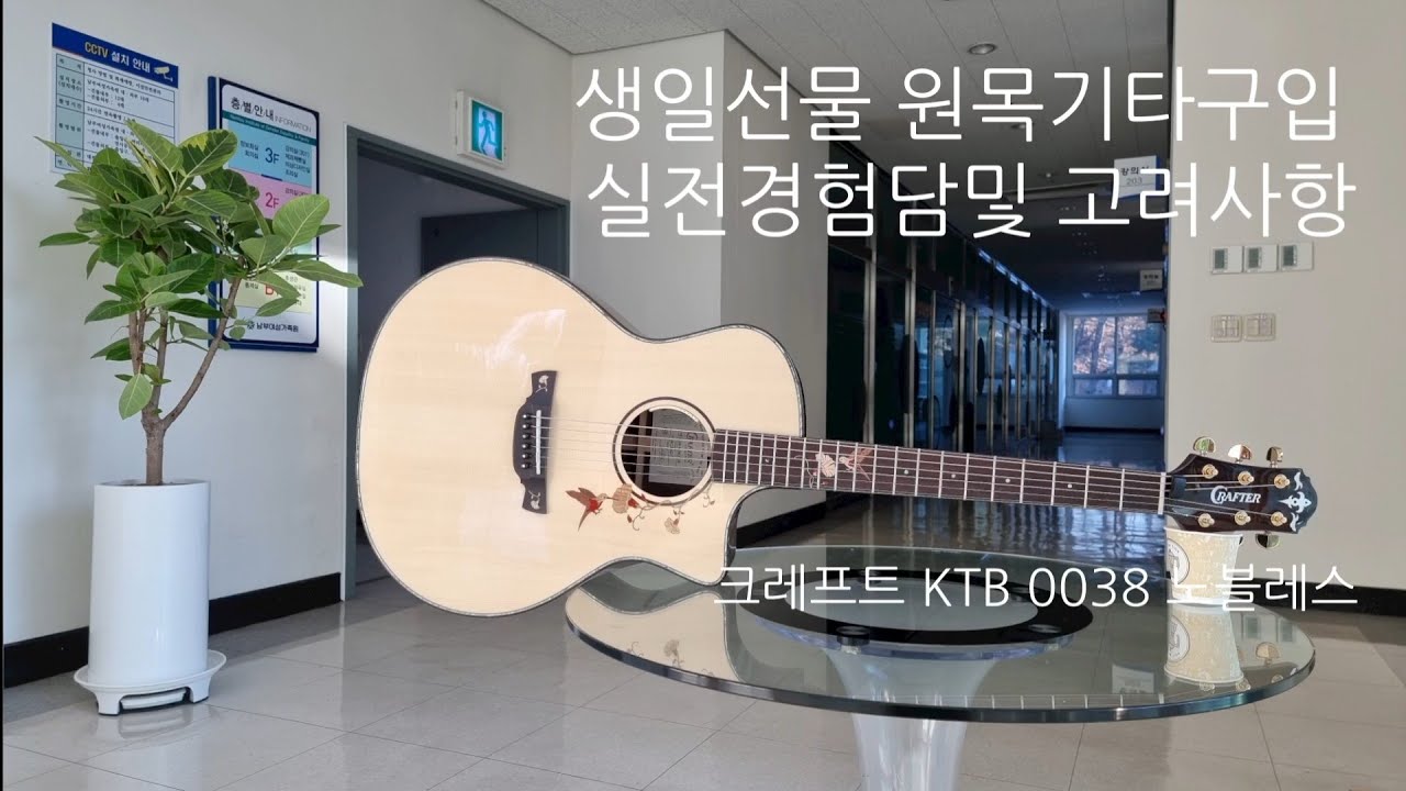 생일선물 통기타구입  고려사항  실전경험담