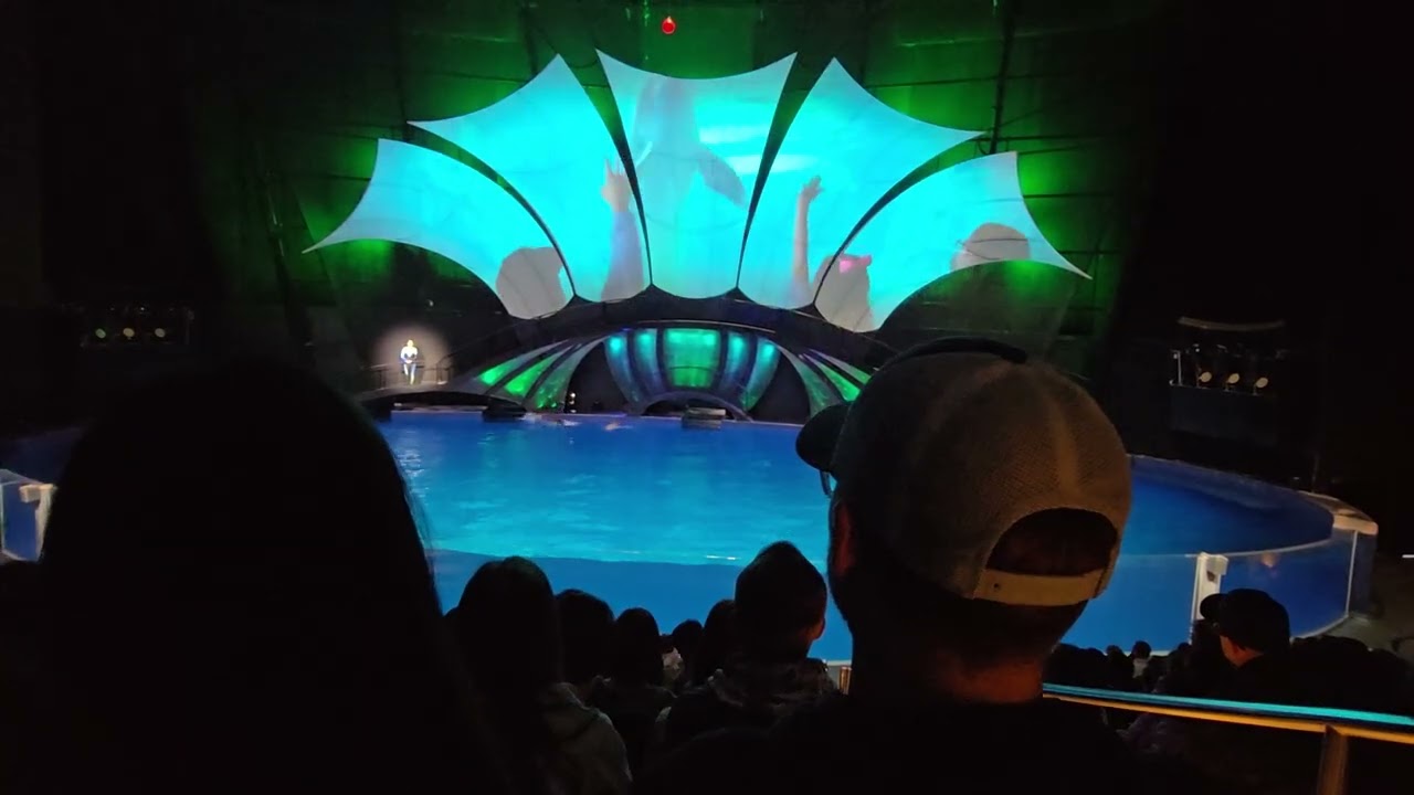 ジョージア水族館 (2026/02/07)