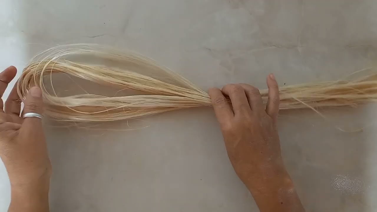 Extração da pura fibra da bananeira.