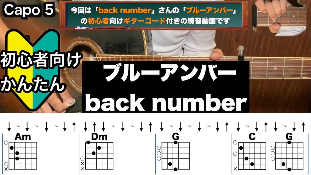 ブルーアンバー/back number/ギター/コード/弾き語り/初心者向け/簡単