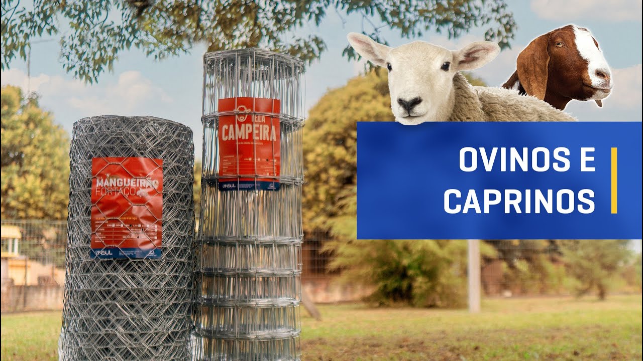 Melhores telas para criação de Ovinos e Caprinos