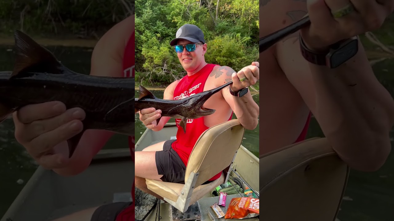 Snagged into a paddlefish while bass fishing!!! 🎣 🛶 