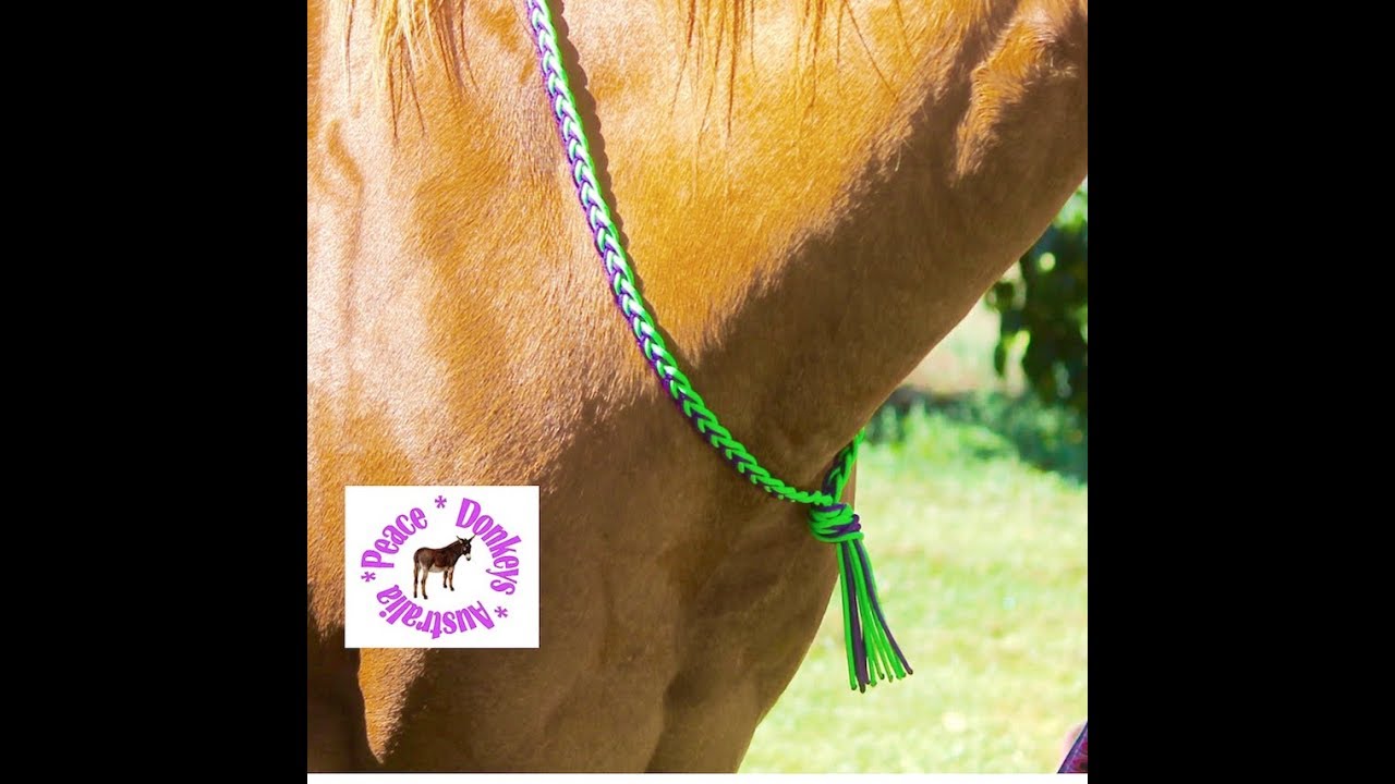 How to make a plaited paracord neck rope for a horse.