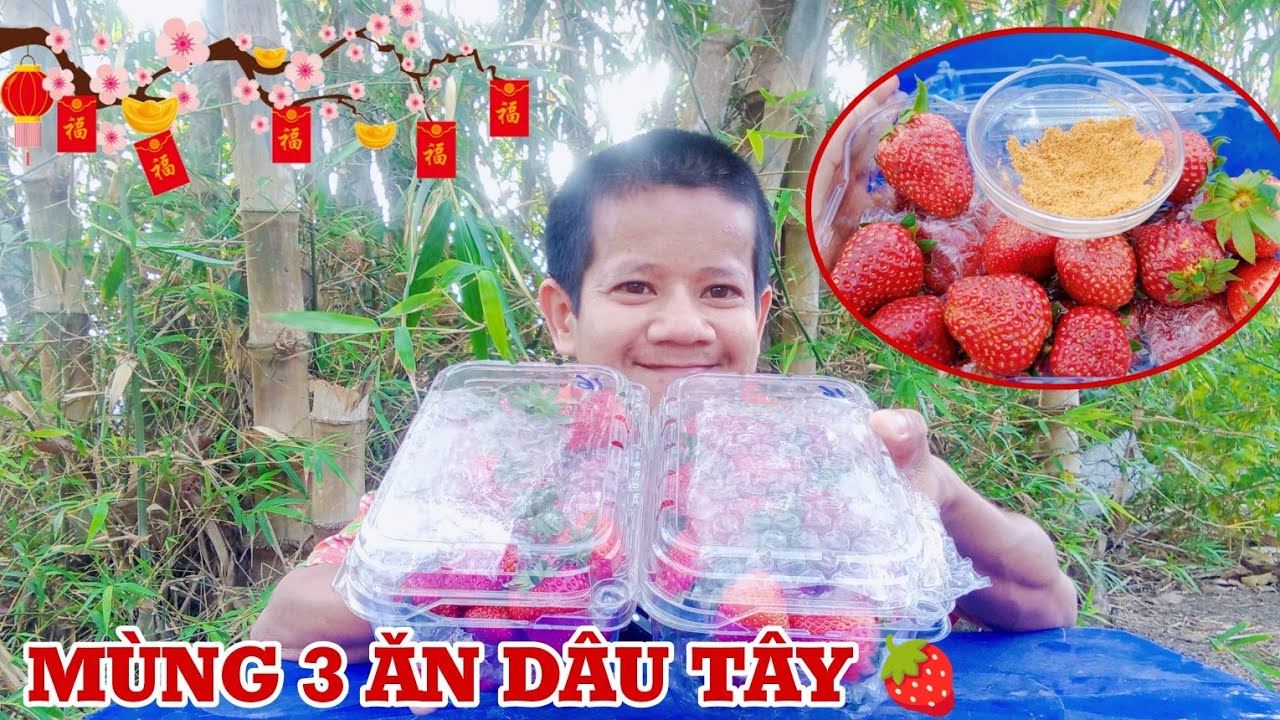 Mùng 3 Tết Ngồi Ăn Dâu Tây Chill Nhẹ 🍓