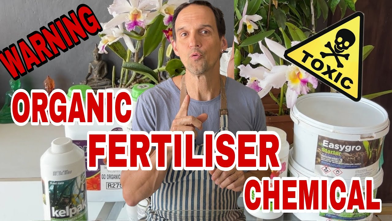 Chemical vs. Organic Fertilizer for Orchids &mdash; What's Better?