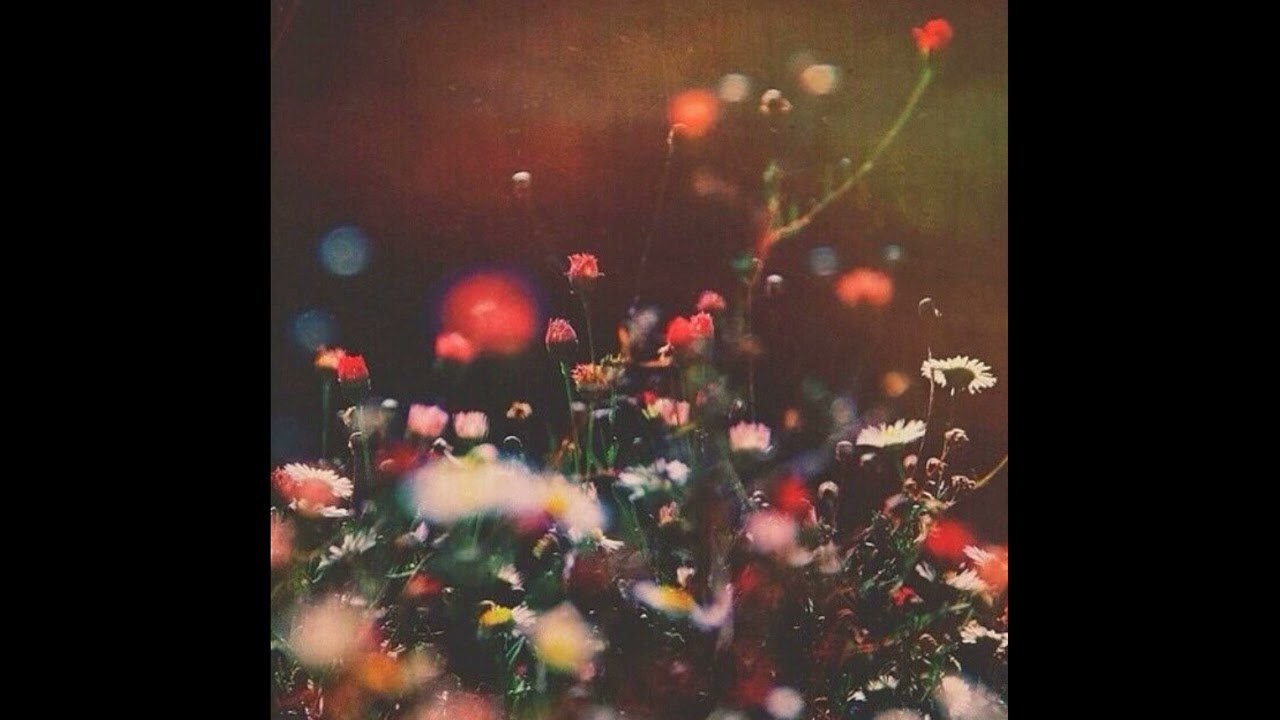 [free] indie rock / acoustic type beat - 