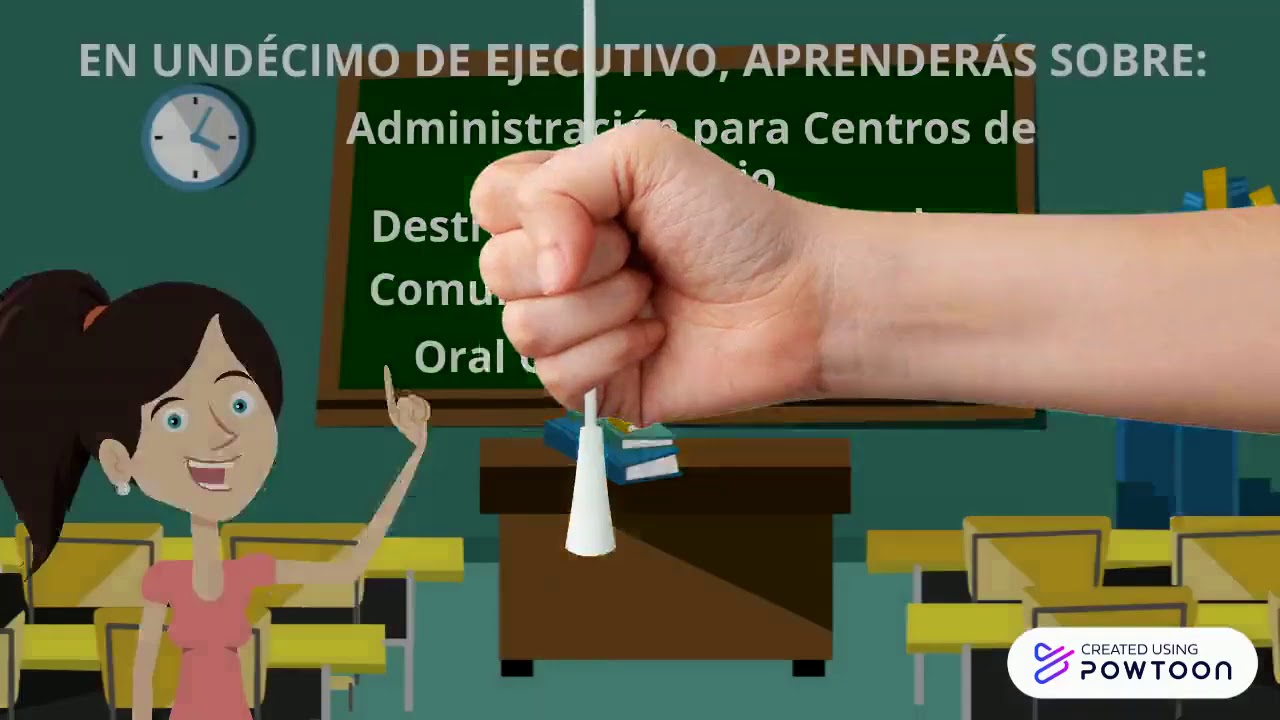 Ejecutivo para Centros de Servicios
