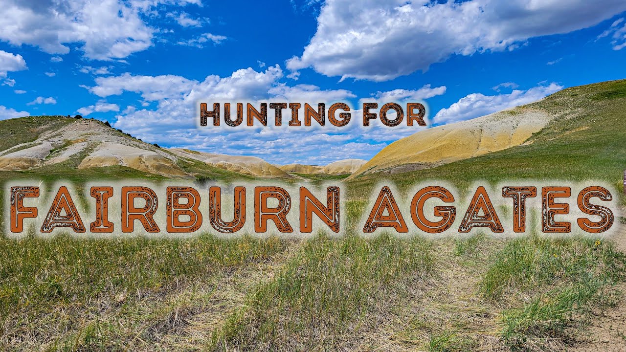 Agate Hunting at the Fairburn Agate Beds