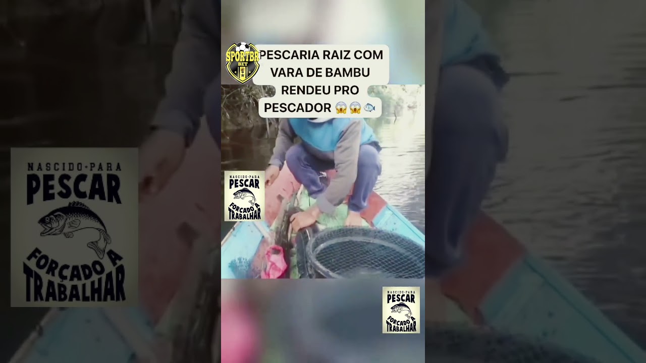 PESCARIA RAIZ COM VARA DE BAMBU. MUITO SHOW. #acampamento #pescaria #pescacombambu #pesca