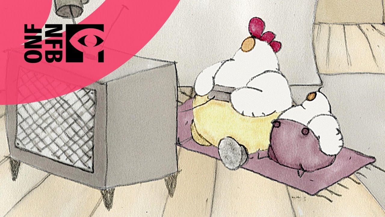 Chez madame poule