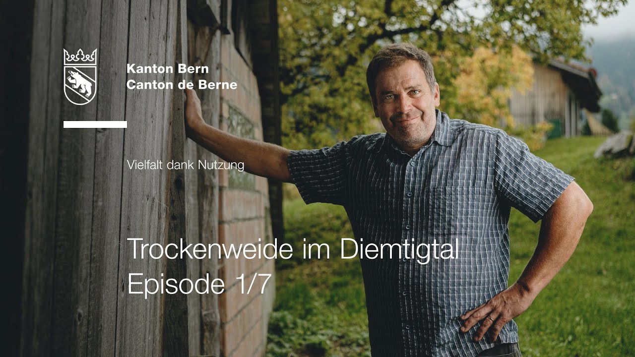 Vielfalt dank Nutzung – Trockenweide im Diemtigtal (Podcast Episode 1/7)
