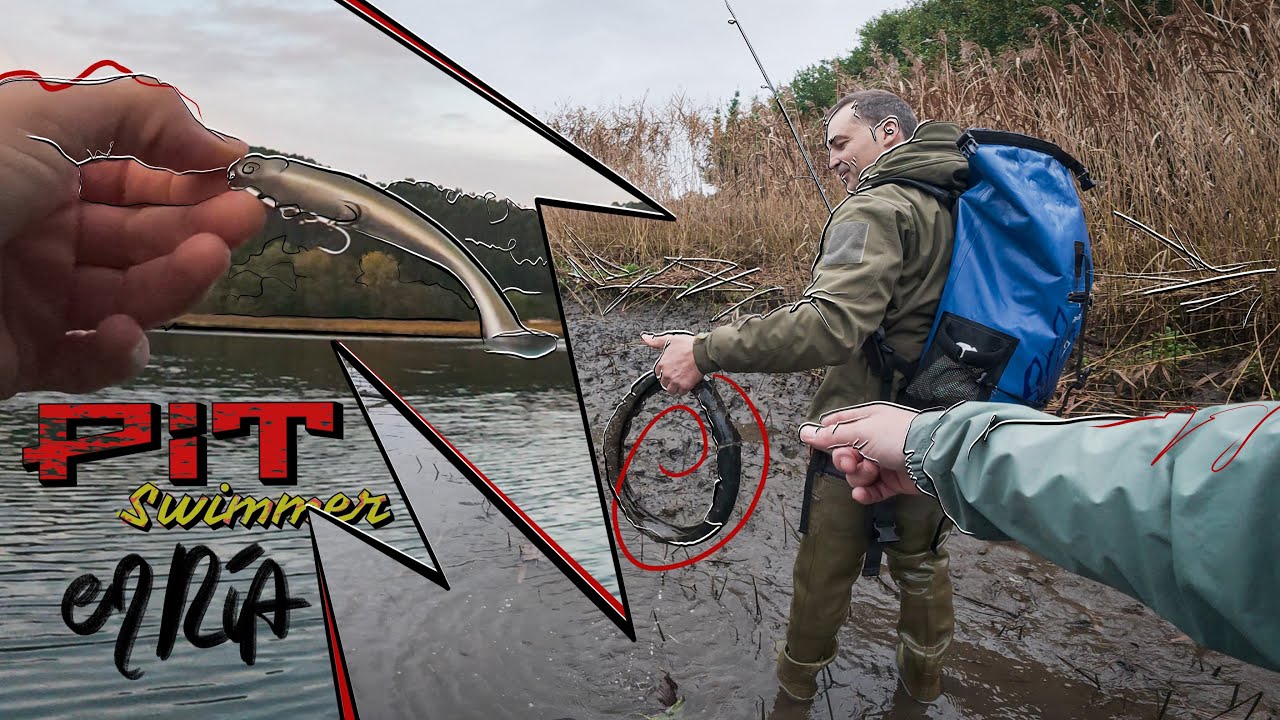LUBINAS a ROCKFISHING con el VINILO de SUPERFICIE en la RIA